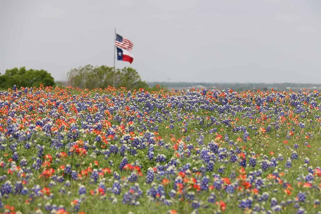 places to visit in Texas