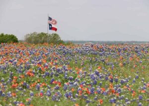 places to visit in Texas