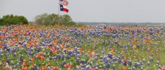 places to visit in Texas