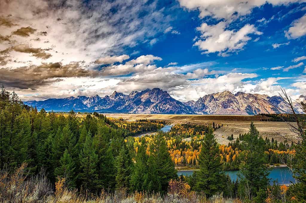 tourist sightseeing in Wyoming