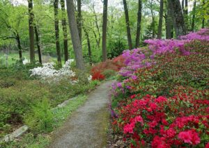 things to do in Pennsylvania