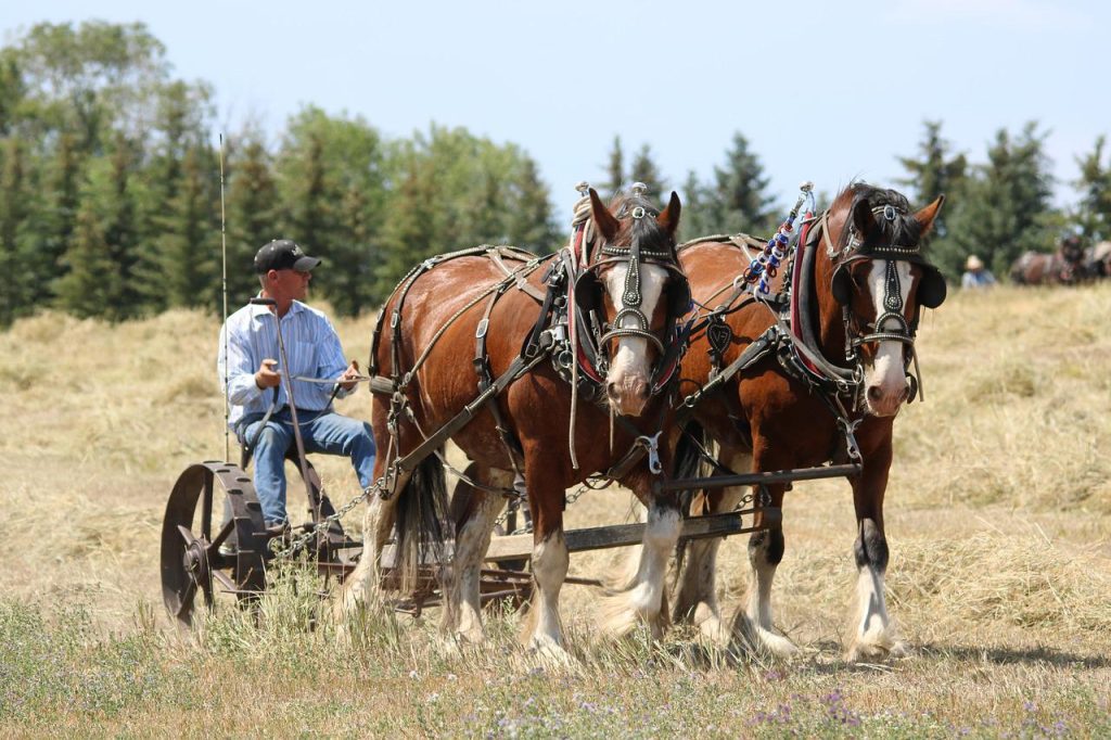 places to visit near me North Dakota