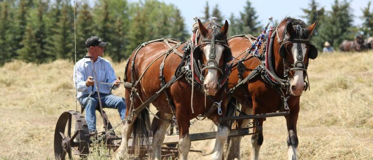 places to visit near me North Dakota