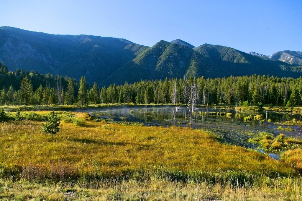 tourist sightseeing in Montana