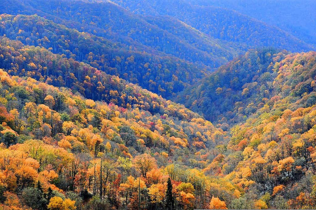 places to visit in Tennessee