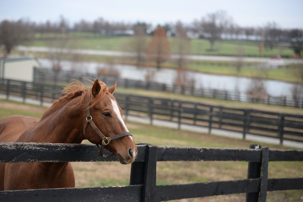 attractions near me Kentucky