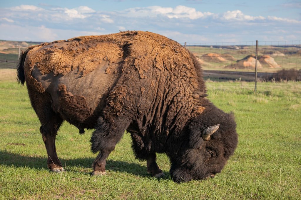 what to see in North Dakota