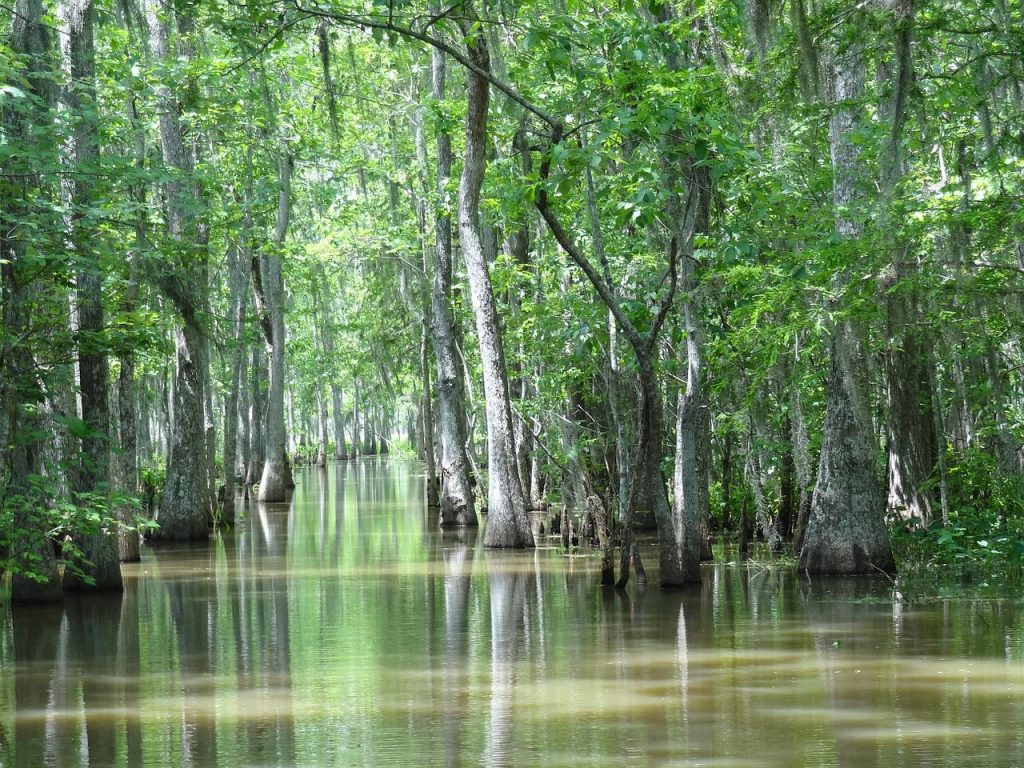 places to visit in Louisiana