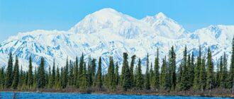 Tourist Attractions in Alaska Denali National Park